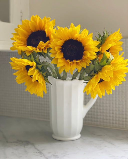 Mosser Glass 'Panel' Pitcher in 'Milk White' image 1