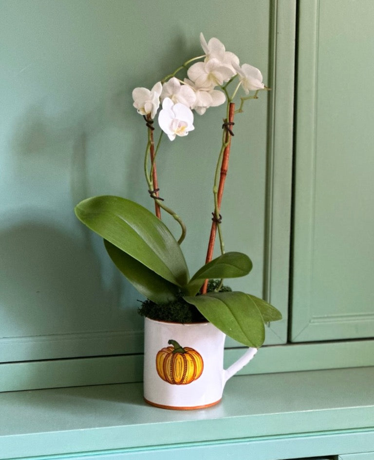 'Pumpkin' Mug (10 oz) image 1