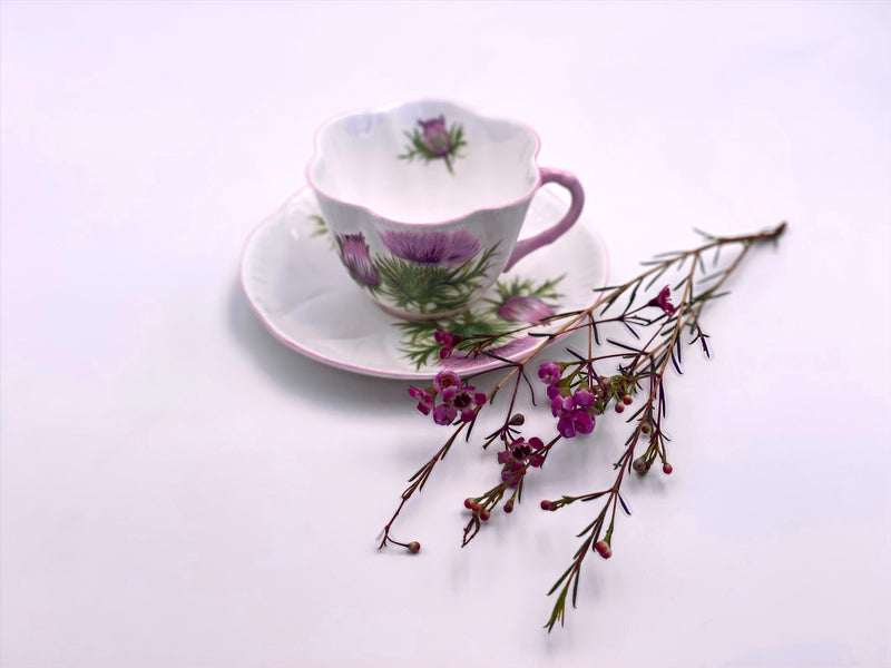 Vintage Shelley 'Thistle' Teacup & Saucer image 2