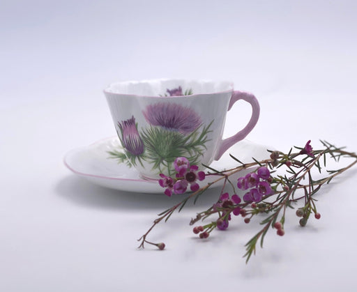 Vintage Shelley 'Thistle' Teacup & Saucer image 0