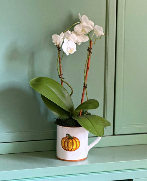 Boxed Set of (4) 'Pumpkin' Mugs image 1